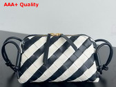 Bottega Veneta Concert Pouch Space Chalk Striped Intrecciato Calf Leather 794258 Replica