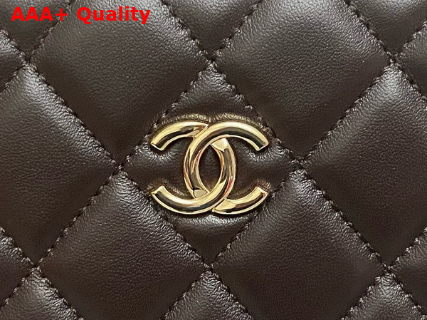 Chanel Box Bag in Dark Brown Lambskin Gold Tone Metal AS5168 Replica
