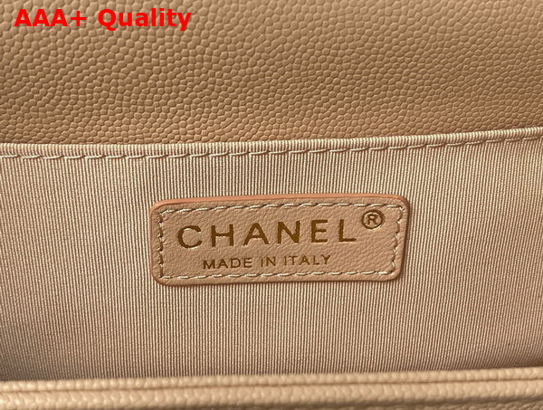 Chanel Boy Chanel Flap Bag with Handle Beige Grained Shiny Calfskin and Gold Tone Metal Replica