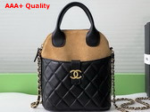 Chanel Clutch with Chain Suede Calfskin Shiny Lambskin and Gold Tone Metal Beige and Black AP4742 Replica
