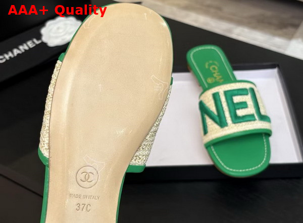 Chanel Embroidered Mule in Green Replica