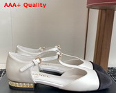 Chanel Mary Jane Flats in White Lambskin and Black Velvet Replica