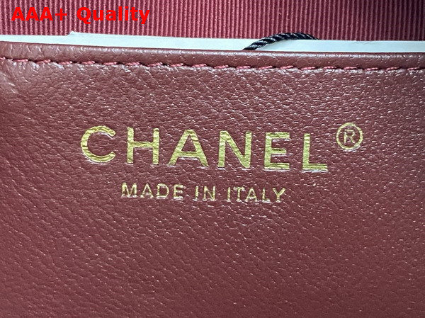 Chanel Mini Camera Case in Dark Brown Shiny Lambskin Gold Tone Metal AS5190 Replica