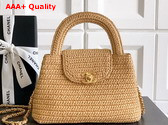 Chanel Mini Shopping Bag in Natural Raffia AS4416 Replica