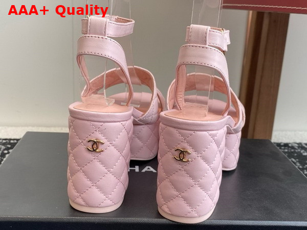 Chanel Platform Sandal in Light Pink Lambskin G46427 Replica