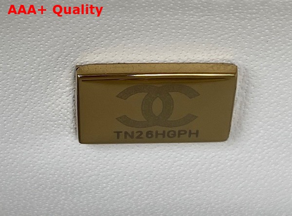 Chanel Small Vanity Case White Calfskin Gold Tone Metal AS3344 Replica