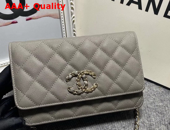 Chanel Wallet On Chain Grey Grained Calfskin Replica