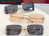 Cartier Panthere de Cartier Sunglasses CRESW00709 Replica