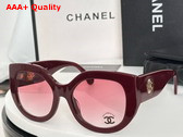 Chanel Butterfly Sunglasses Burgundy Acetate Ref 5550 Replica