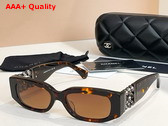 Chanel Oval Sunglasses Dark Ttortoise Acetate and Glass Pearls Ref 5544 Replica