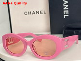 Chanel Oval Sunglasses Pink Acetate and Nylon Ref 5528 Replica