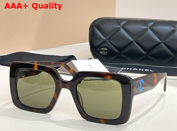 Chanel Square Sunglasses Havana Acetate Replica