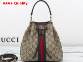Gucci Ophidia Small Bucket Bag in Beige and Dark Brown GG Monogram Coated Fabric 841313 Replica