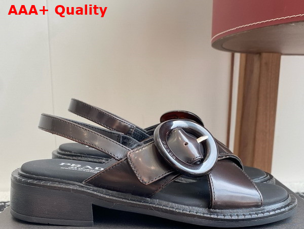 Prada Brushed Leather Sandals with Buckle in Sienna 1X962N Replica