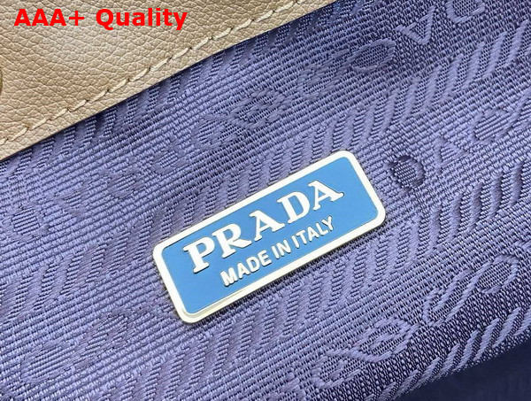 Prada Leather Leather Mini Bag in Caramel 1BE067 Replica